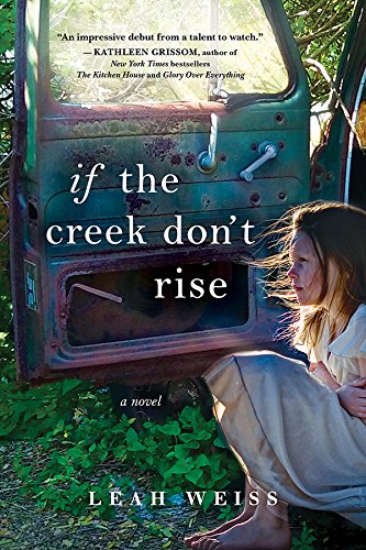 Book Cover If the Creek Don't Rise: A Novel