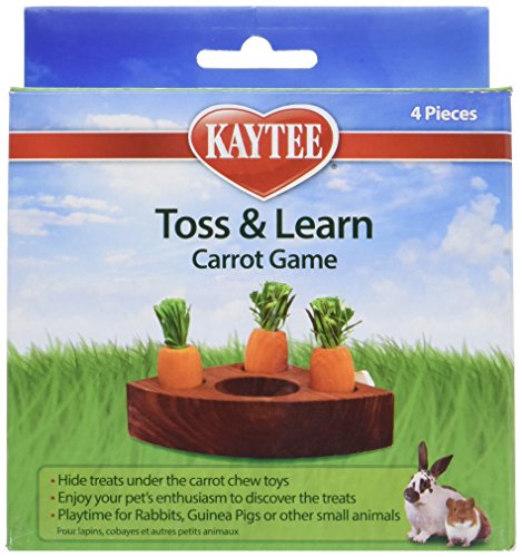 Kaytee Toss & Learn Carrot Game, 277207