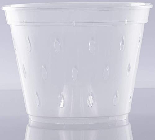DAN Market Orchid Breathable Slotted Clear Plastic Pot (5.5 inch (4 Pack))