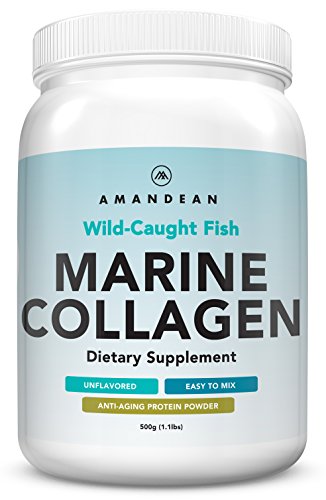 Premium Anti-Aging Marine Collagen Powder 17.6 Oz | Wild-Caught Hydrolyzed Fish Collagen Peptides | Type 1 & 3 Collagen Protein Supplement | Amino Acids for Skin, Hair, Nails | Paleo Friendly, Non-GMO