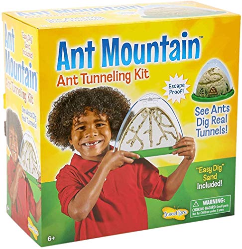 Book Cover Insect Lore Ant Farm - Two Sided Ant Mountain- Includes Habitat, Sand And Voucher for Live Ants