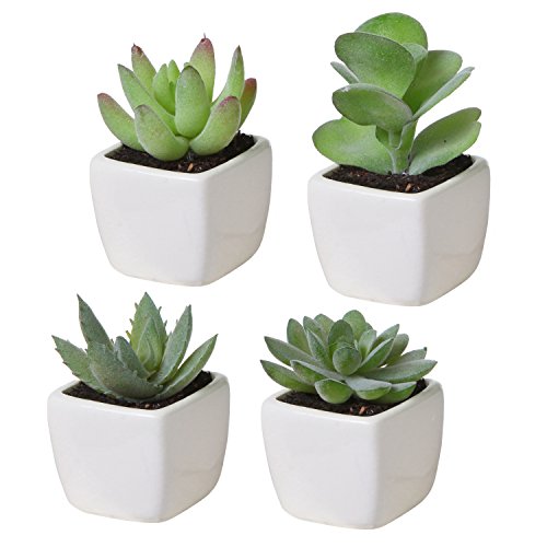 Book Cover MyGift Mini Assorted Artificial Succulent Fake Indoor House Plants in Square White Ceramic Pots, Set of 4