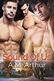 Sound of Us: Us #2