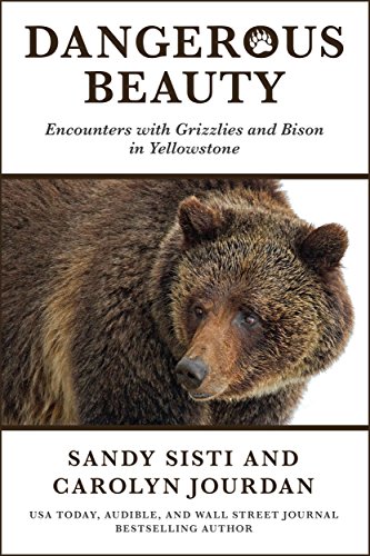Dangerous Beauty: Encounters with Grizzlies and Bison in Yellowstone