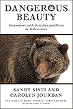 Dangerous Beauty: Encounters with Grizzlies and Bison in Yellowstone
