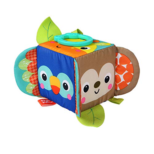 Book Cover Bright Starts Hide & Peek Block Activity Toy