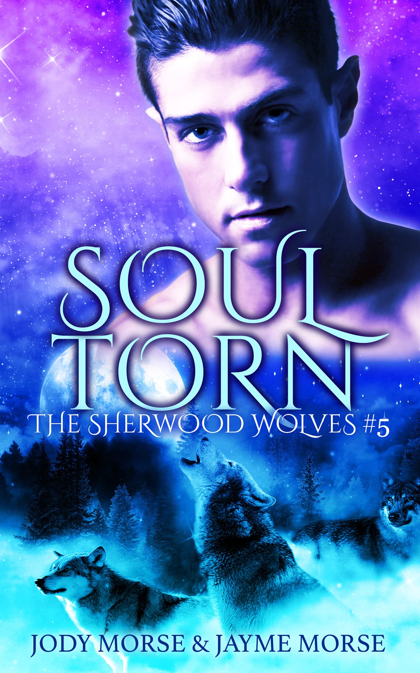 Book Cover Soul Torn (The Sherwood Wolves #5)