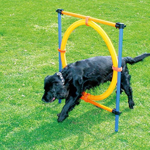 Book Cover PAWISE Dog Training Exercise Equipment,Dog Agility Training Equipment,Dog Jump Ring Outdoor,Playground Equipment Outdoor