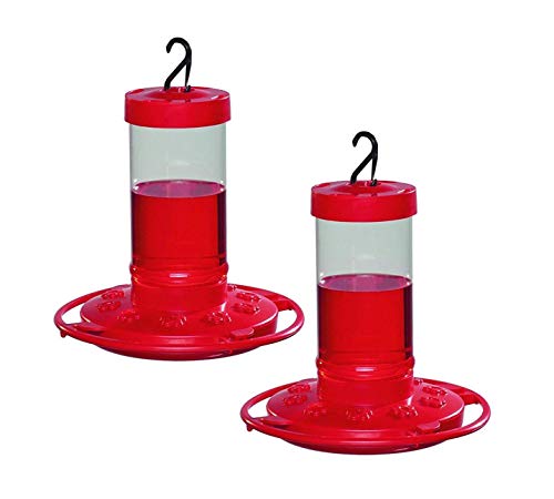 Book Cover First Nature 3051 Hummingbird Feeder, 16-Ounce (Set of 2)
