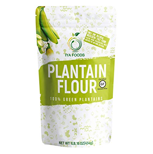 Book Cover Iya Foods Gluten-Free, Kosher Certified Paleo Premium Plantain Flour, 1 Pound Bag
