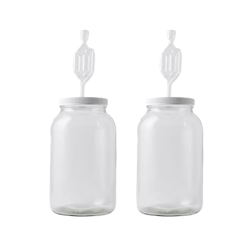 FastRack One gallon Wide Mouth Jar with Drilled Lid & Twin Bubble Airlock-Set of 2, multicolor (B01AKB4G9E), 1 gallons