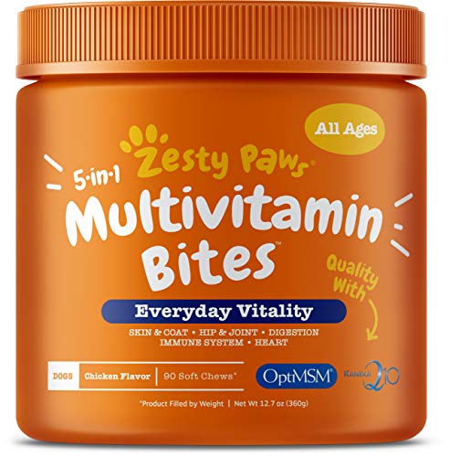 Book Cover Zesty Paws Multivitamin Treats for Dogs - Glucosamine Chondroitin for Joint Support + Digestive Enzymes & Probiotics - Grain Free Dog Vitamin for Skin & Coat + Immune Health - Chicken Flavor - 90ct