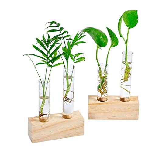 Book Cover Ivolador Tabletop Glass Planter Propagation Station Simply 2 Test Tube Flower Bud Vase in Wooden Stand Rack Terrarium for Hydroponic Plants Cutting Office Home Decoration, Gift for Wedding Birthday