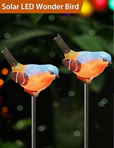 Book Cover Bright Zeal [Pack of 2] LED Bird Figurines Color Changing Solar Stake Lights Outdoor - Bird Solar Lights Outdoor Garden - Garden Figurines Outdoor Solar Decor Garden - Patio Lights LED Color Changing