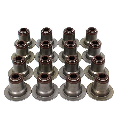 CNS Valve Stem Seal Set (16v) Compatible with 2001-16 GM V8 VORTEC 4.8L 5.3L 6.0L 6.2L Chevrolet Silverado GMC Savana Sierra Yukon Isuzu Ascender