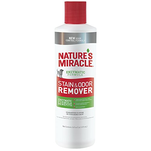 Book Cover Nature's Miracle Dog Stain and Odor Remover Pour