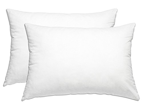Book Cover Le'vista Hotel Collection Plush Pillow - Down Alternative Pillows, King, (2 Pack)