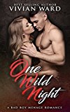 One Wild Night (A MFMM Ménage Romance)