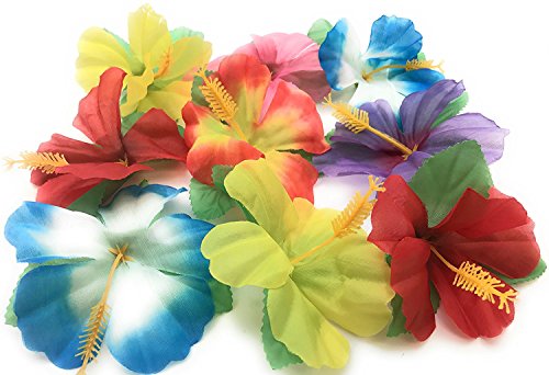 Oojami Hibiscus Flowers for Tabletop Decoration ( Pack of 72)