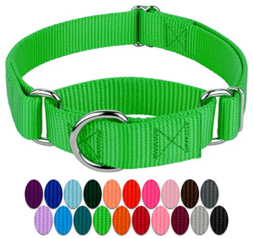 Country Brook Design - 1 Inch Martingale Heavyduty Nylon Dog Collar - Hot Green - Large