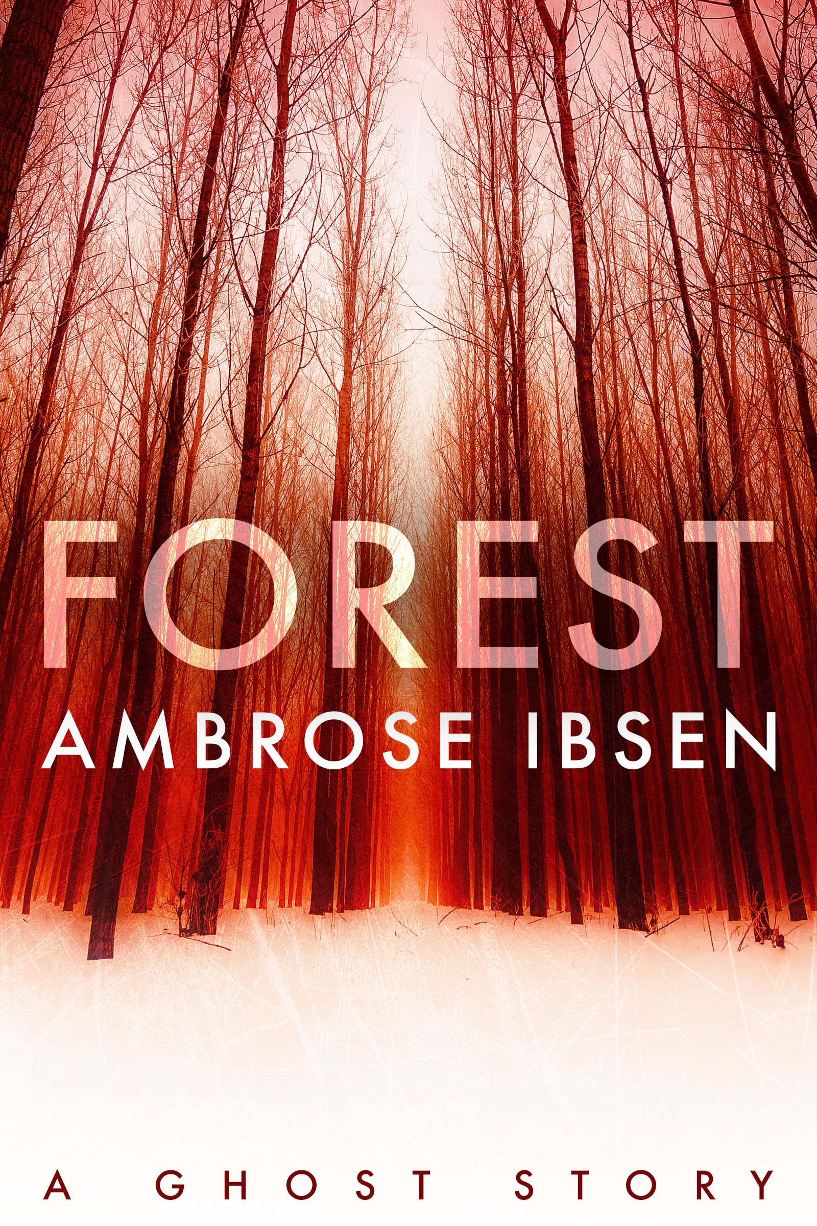 Book Cover Forest (The Afterlife Investigations Book 2)