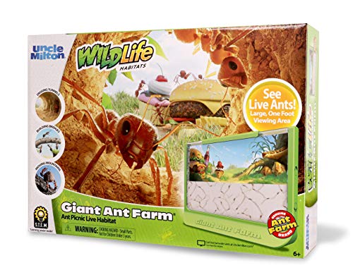 Book Cover Uncle Milton Giant Ant Farm Kit