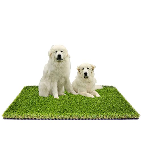 MTBRO Artificial Grass, Professional Outdoor Grass Mat for Dogs, Realistic Artificial Turf Rug for Patio, Blade Height 1.5 Inch,100 Ounce/Sq.Yd,3 Feet X 5 Feet