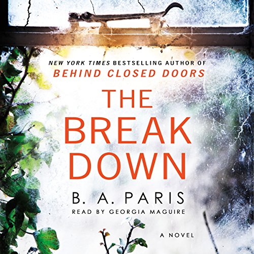 Book Cover The Breakdown