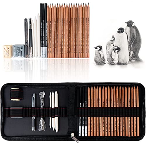 29 Pieces Professional Sketch & Drawing Art Tool Kit With Graphite Pencils, Charcoal Pencils, Paper Erasable Pen, Craft Knife-Lightwish (without Sketchbook, with Zipper Case)