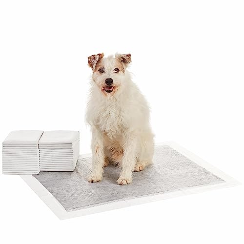 Amazon Basics Dog and Puppy Pee Pads with 5-Layer Leak-Proof Design and Quick-Dry Surface for Potty Training, Odor-Control Carbon, XL, 28 x 34 Inch - Pack of 30, Gray
