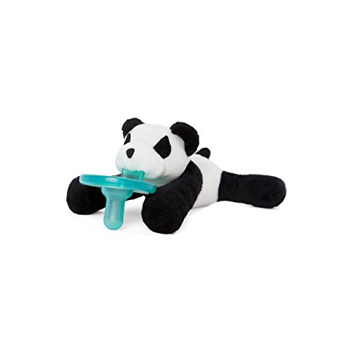 Book Cover WubbaNub Infant Pacifier - Panda