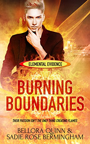Book Cover Burning Boundaries (Elemental Evidence Book 2)