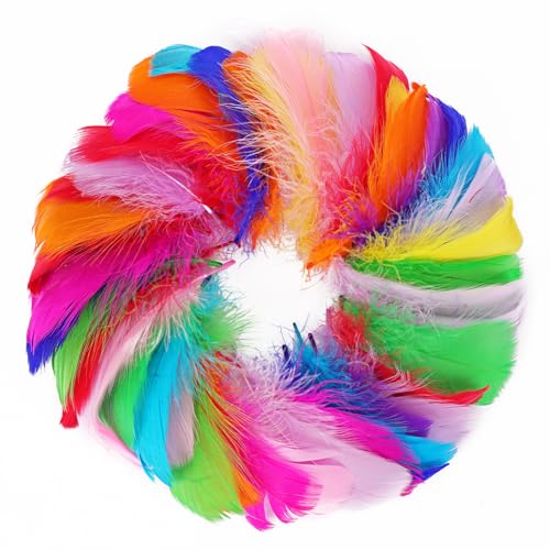 Coceca 500 Colorful Feathers for DIY Craft Wedding Home Party Decorations