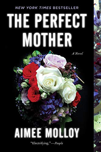 Book Cover The Perfect Mother: A Novel
