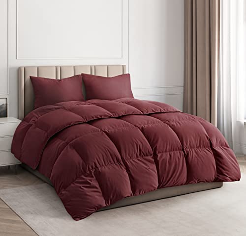 Book Cover CGK Unlimited Comforter Duvet Insert – Warm, Lightweight & Breathable Queen Size Down Alternative Set – Hotel Quality Bedding - & Fibers Ideal for Allergies - Lightweight Duvet (Queen, Burgundy)