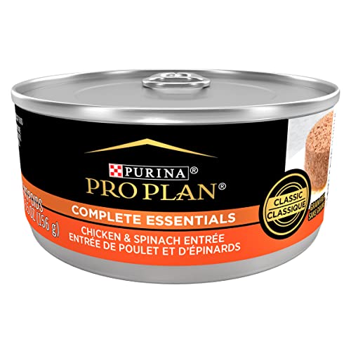 Purina pro plan Grain Free Pate Wet Cat Food, Complete Essentials Chicken and Spinach Entree Classic - 5.5 oz. Can