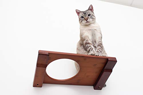 CatastrophiCreations Cat Escape Hatch Handcrafted Elevated Wall
