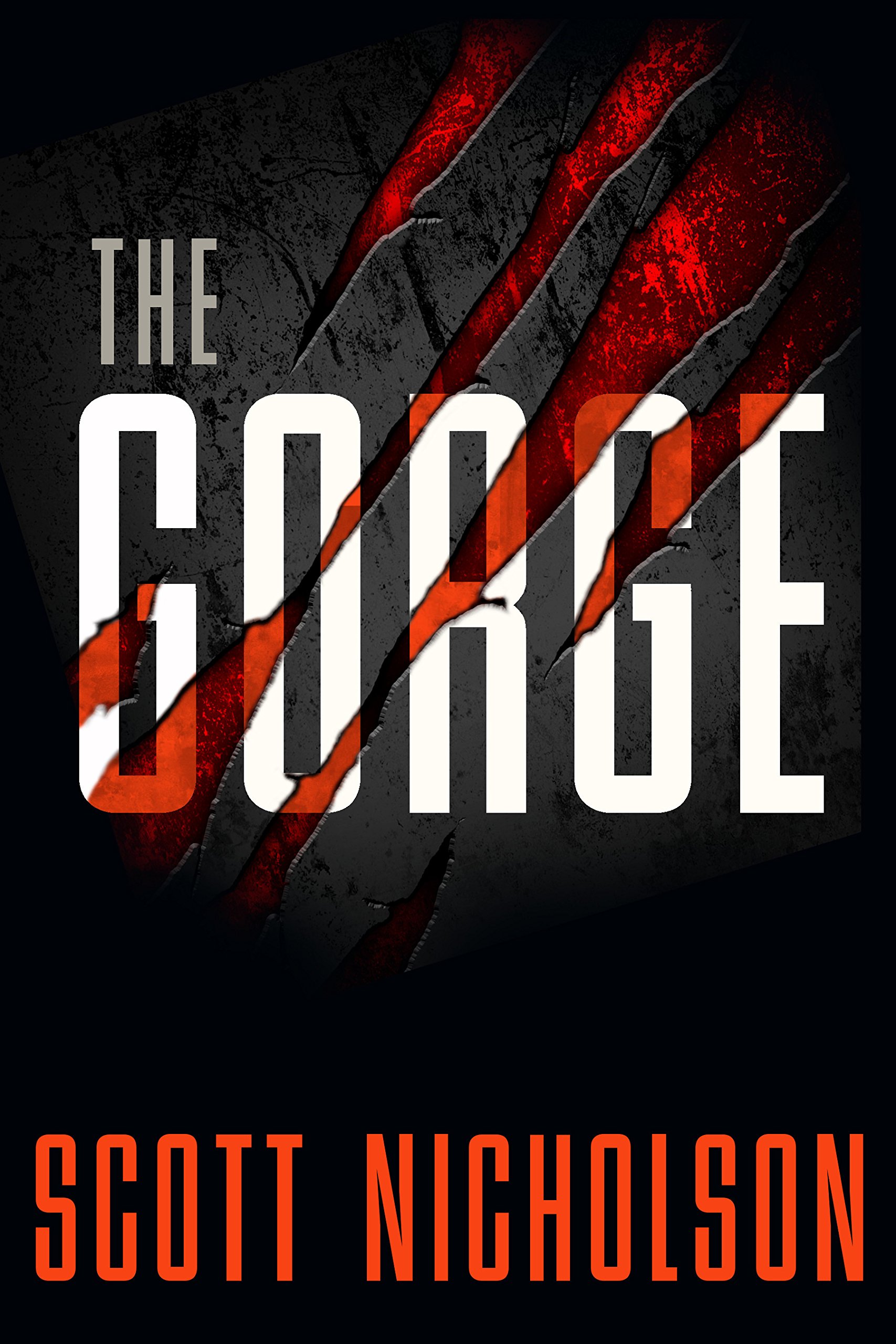Book Cover The Gorge: A Thriller