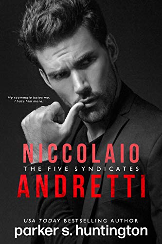Book Cover Niccolaio Andretti: An Enemies-to-Lovers Mafia Romance Novel
