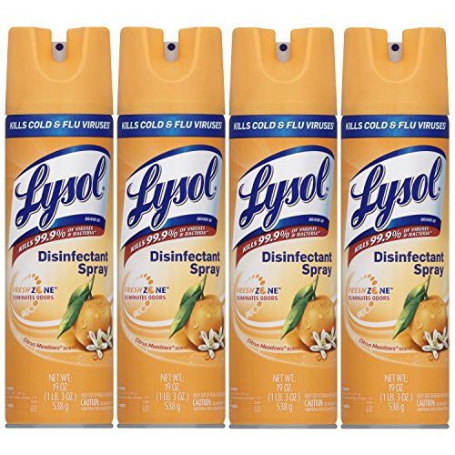 Lysol Disinfectant Spray, Citrus Meadows, 19 oz (Pack of 4)