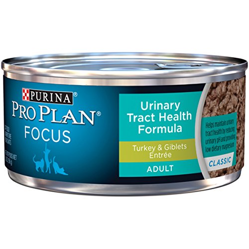 Purina Pro Plan Urinary Tract Health Pate Wet Cat Food, FOCUS Urinary Tract Health Formula Turkey & Giblets Entree - (24) 5.5 oz. Cans