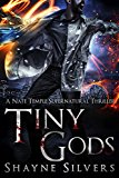Tiny Gods: Nate Temple Series Book 6