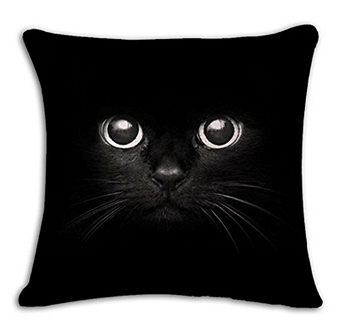 LYN Cotton Linen Square Throw Pillow Case Decorative Cushion Cover Pillowcase for Sofa 18"X 18" Black and White cat (5)