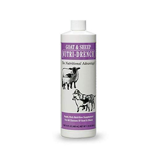 Nutri-Drench Goat & Sheep Nutrition Supplement 1 Pint 16 oz