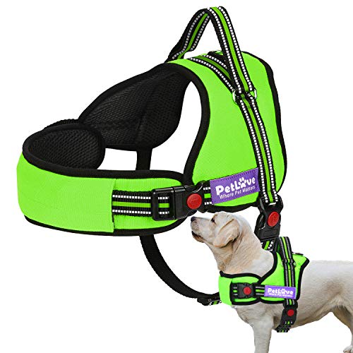 PetLove Dog Harness, Adjustable Soft Leash Padded No Pull Dog Harness for Small Medium Large Dogs, Green