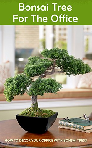 Bonsai Tree for the Office: How to Decor Your Office With Bonsai Tress
