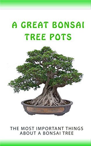 A Great Bonsai Tree Pots: The Most Important Things About a Bonsai Tree