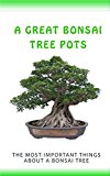 A Great Bonsai Tree Pots: The Most Important Things About a Bonsai Tree