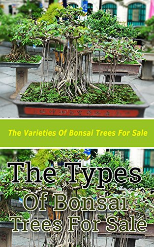 The Types of Bonsai Trees for Sale: The Varieties of Bonsai Trees for Sale