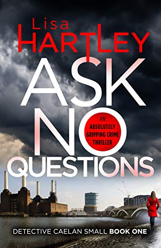 Ask No Questions: A gripping crime thriller with a twist you won't see coming (Detective Caelan Small Book 1)